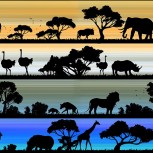 Savannah